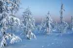 картинки зимние пейзажи красивые